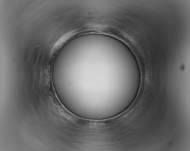 X0000116351354200912151341