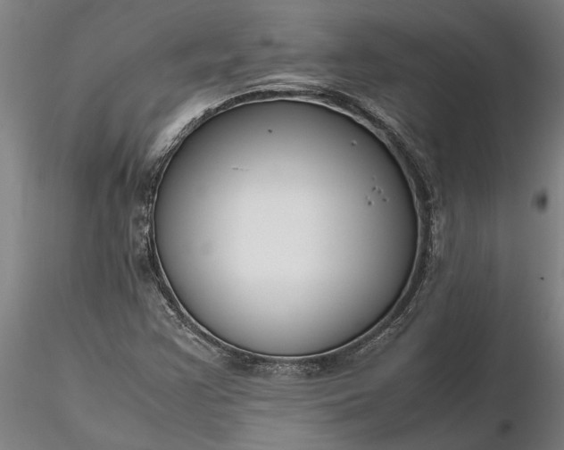 X0000116351355200912151341