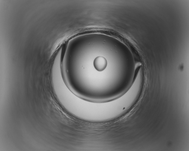 X0000116351357200912151341