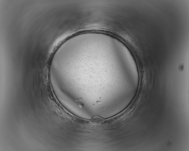 X0000116351358200912151341