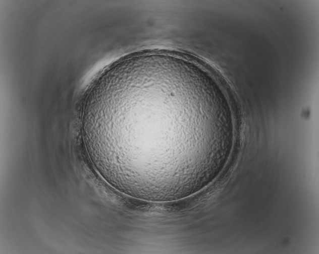 X0000116351359200912151341