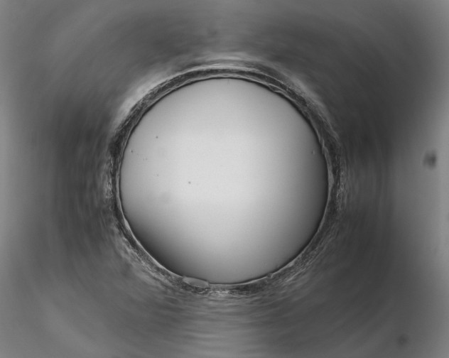 X0000116351360200912151341