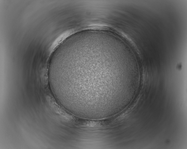 X0000116351362200912151341