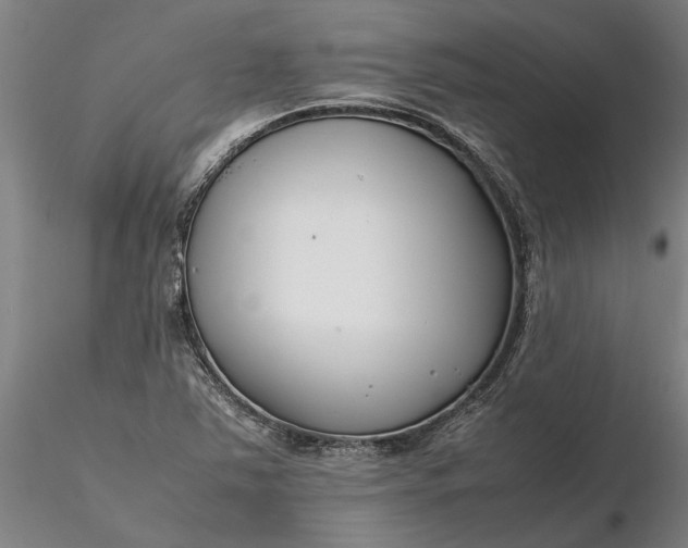 X0000116351363200912151341