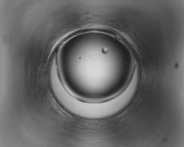 X0000116351364200912151341