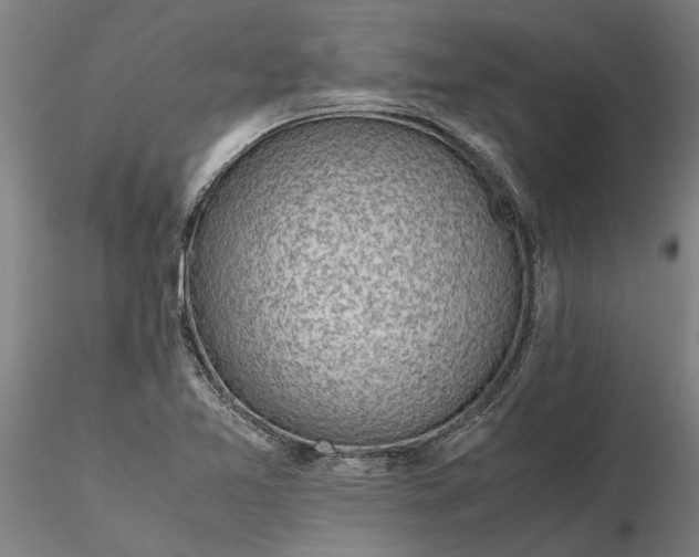 X0000116351365200912151341