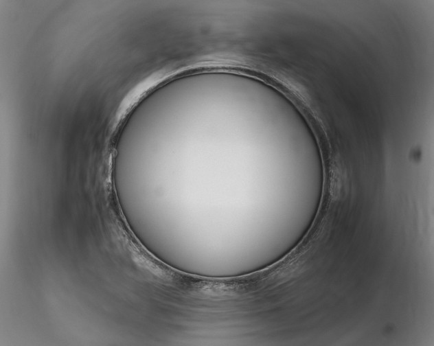 X0000116351366200912151341