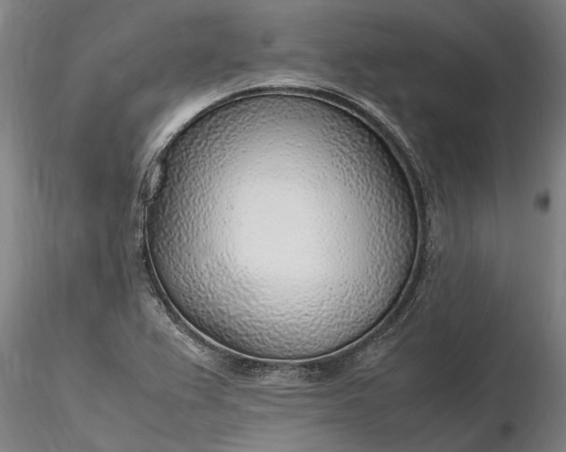 X0000116351367200912151341