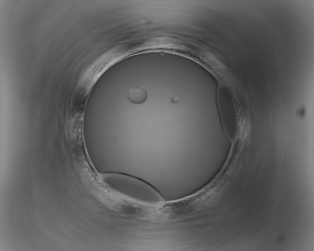 X0000116351369200912151341