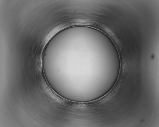 X0000116351370200912151341