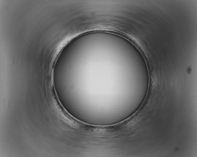 X0000116351371200912151341