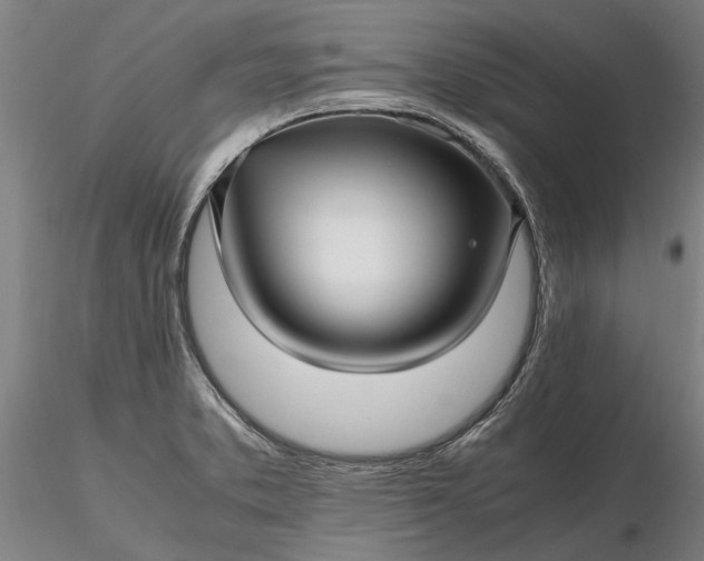 X0000116351373200912151341