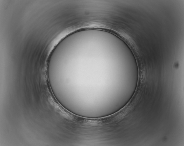 X0000116351374200912151341