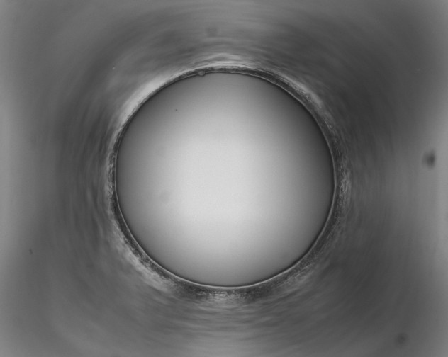 X0000116351375200912151341