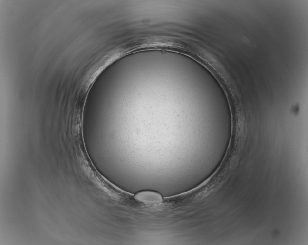 X0000116351377200912151341