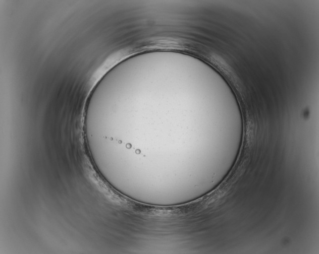 X0000116351378200912151341