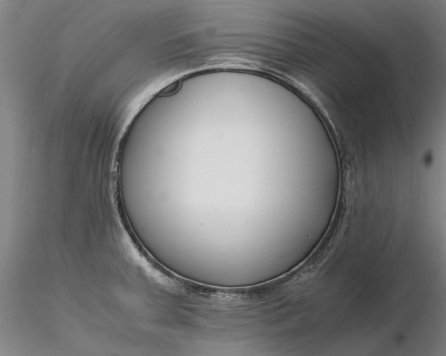 X0000116351379200912151341