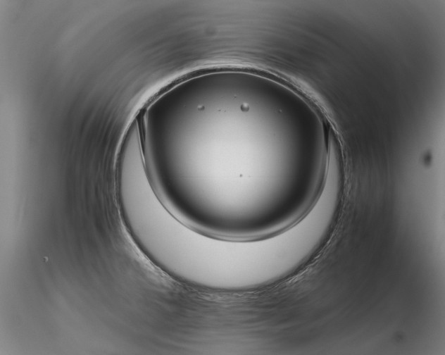 X0000116351380200912151341