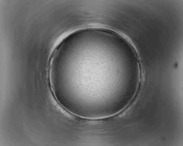 X0000116351381200912151341