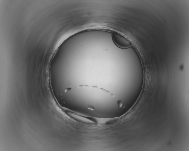 X0000116351382200912151341