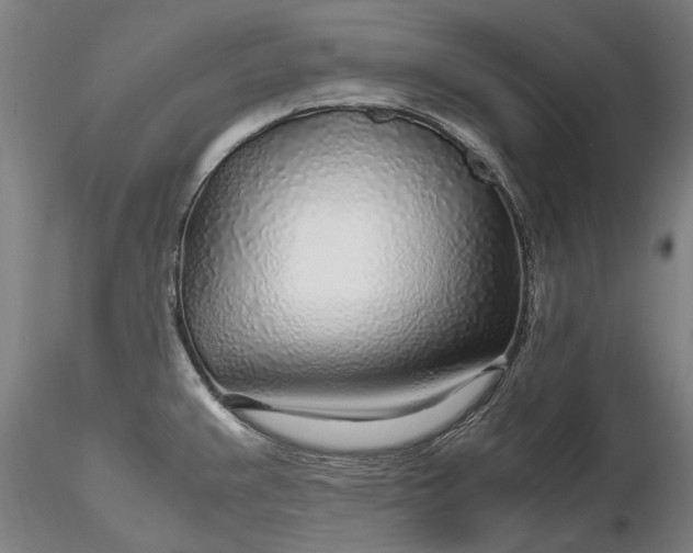 X0000116351383200912151341