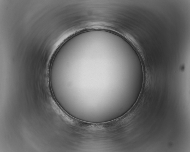 X0000116351384200912151341