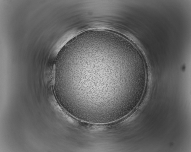 X0000116351385200912151341