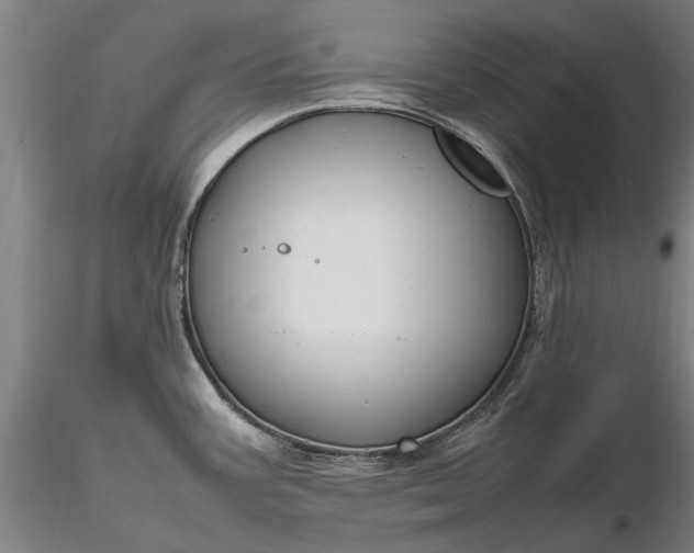 X0000116351387200912151341