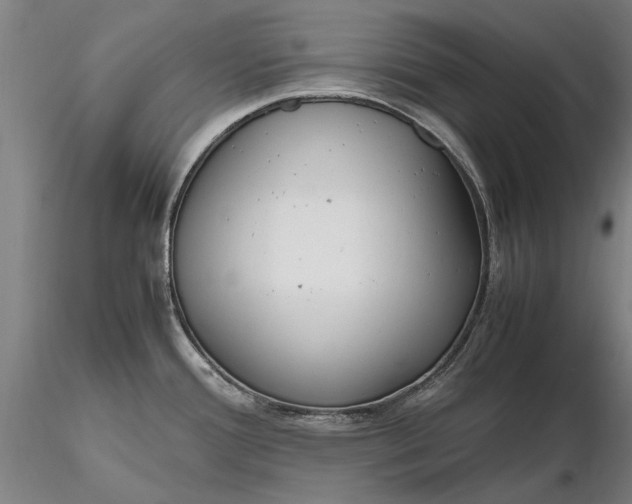 X0000116351388200912151341