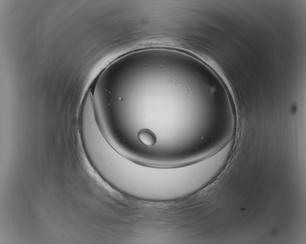 X0000116351389200912151341