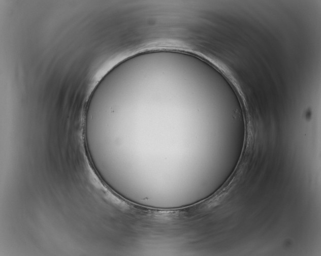 X0000116351390200912151341