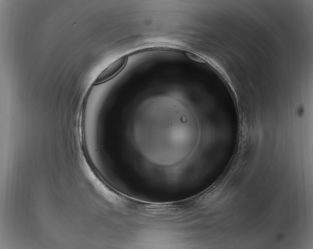 X0000116351391200912151341