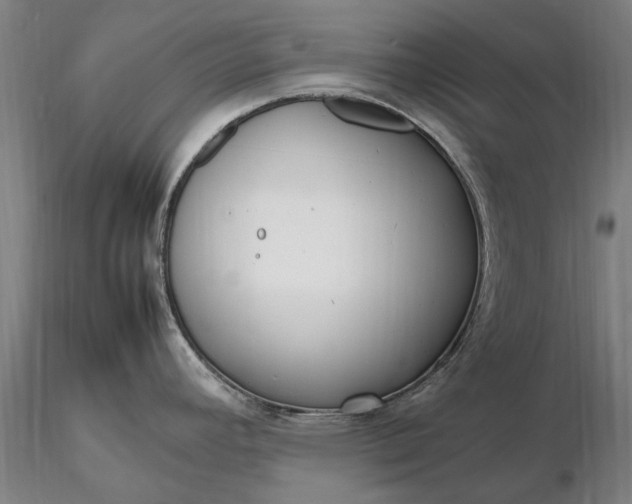 X0000116351392200912151341