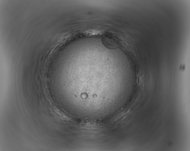 X0000116351393200912151340