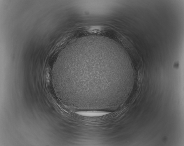 X0000116351394200912151340