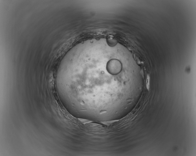 X0000116351395200912151340