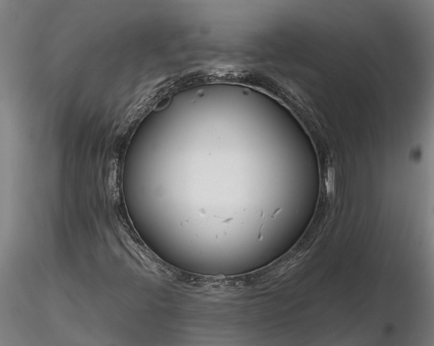 X0000116351396200912151340