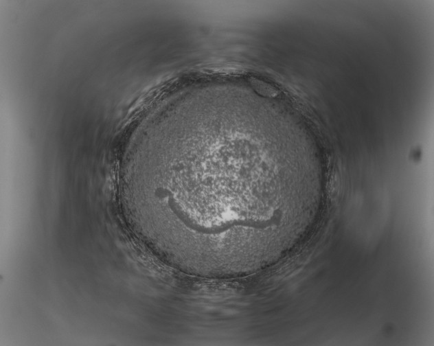 X0000116351397200912151340