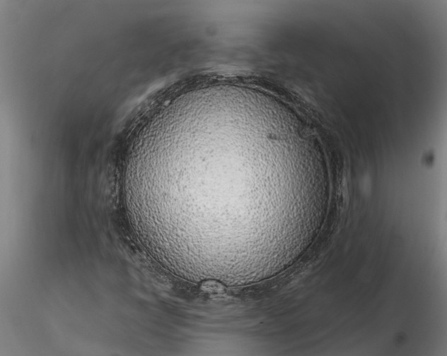 X0000116351398200912151340