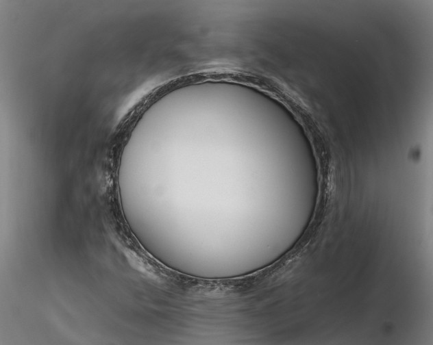 X0000116351400200912151340