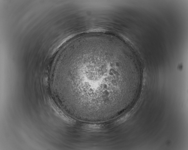 X0000116351401200912151340