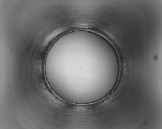 X0000116351402200912151340