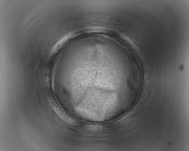 X0000116351403200912151340