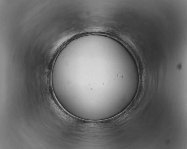 X0000116351404200912151340