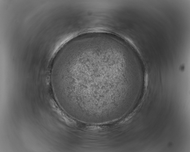 X0000116351405200912151340