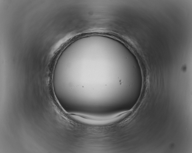 X0000116351406200912151340