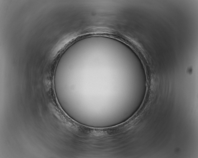 X0000116351407200912151340