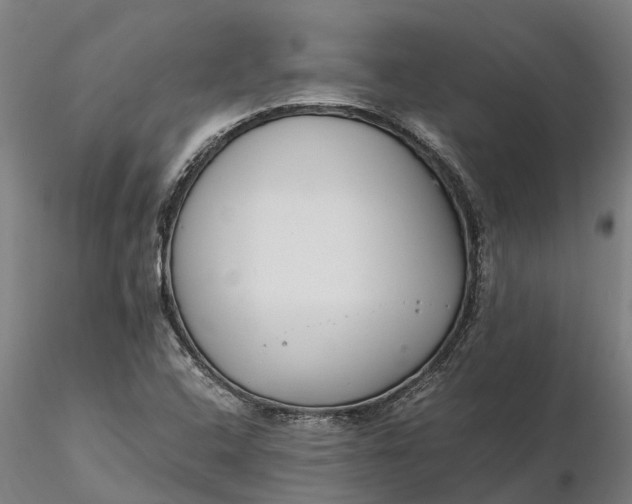 X0000116351408200912151340