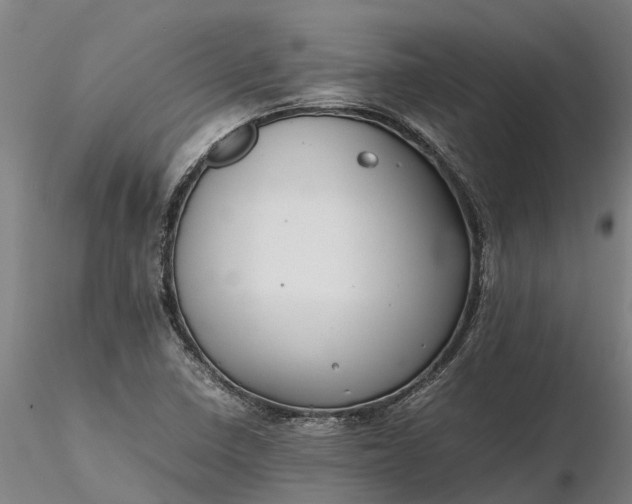 X0000116351410200912151340