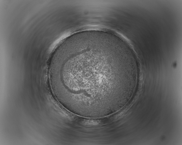 X0000116351411200912151340